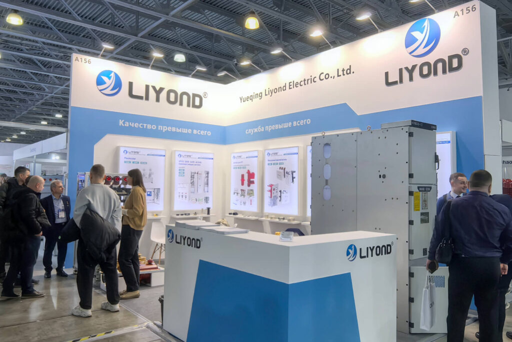 ELECTRIC NETWORKS OF RUSSIA