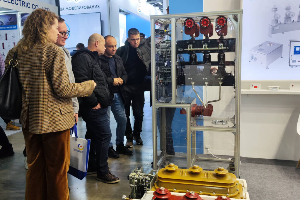 ELECTRIC NETWORKS OF RUSSIA 