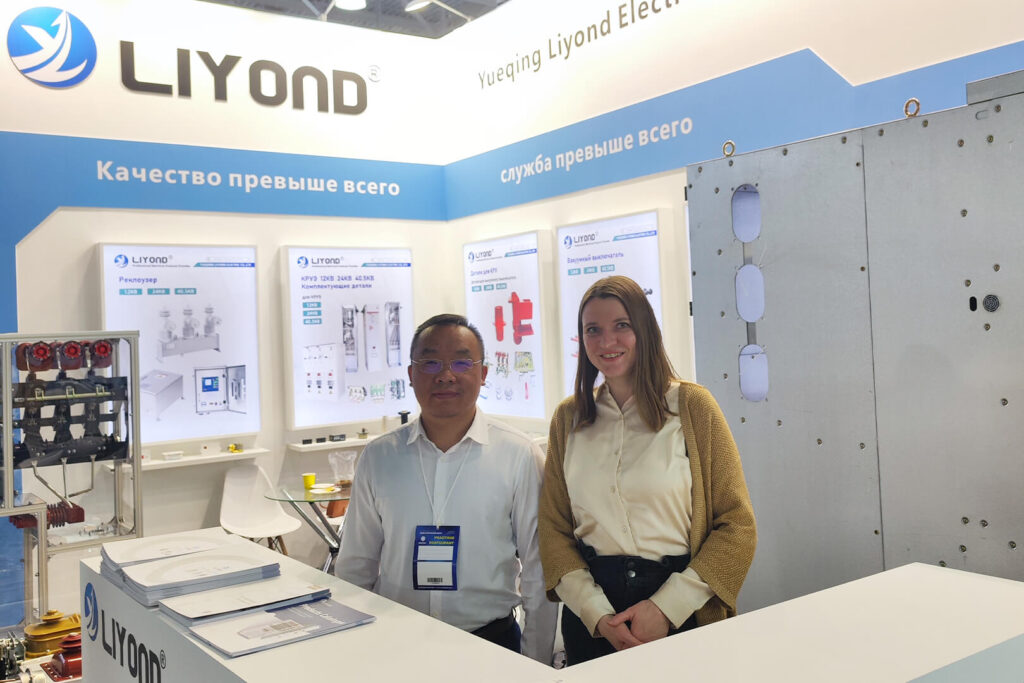 ELECTRIC NETWORKS OF RUSSIA 