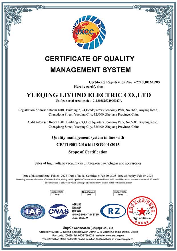2025-2028 ISO9001 Liyond