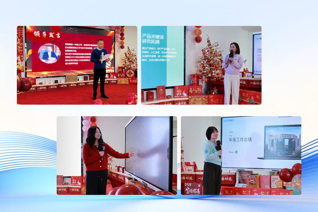 liyond 2025 Work Summary